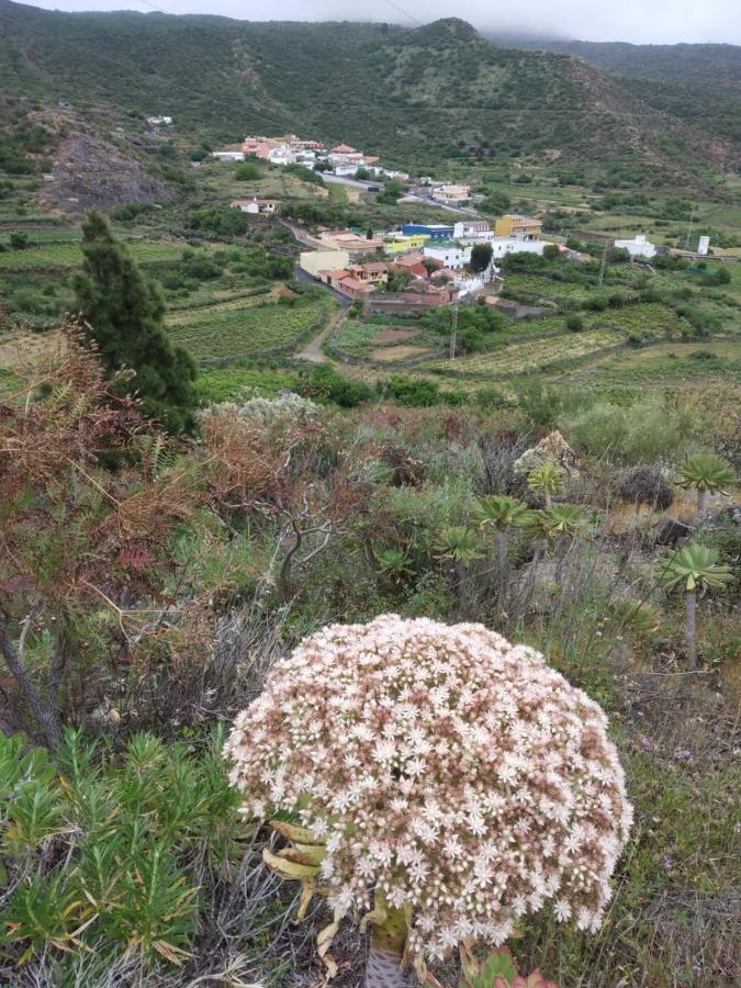 Casa La Canada Santiago del Teide Kültér fotó